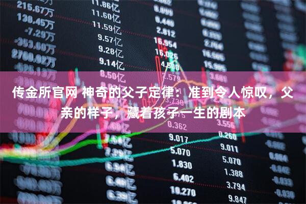 传金所官网 神奇的父子定律：准到令人惊叹，父亲的样子，藏着孩子一生的剧本